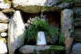 /album/galerie-de-photos-nature-deco/img-6331-jpg/