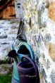 /album/galerie-de-photos-nature-deco/img-6343-jpg/