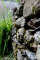 /album/galerie-de-photos-nature-deco/img-6395-jpg/