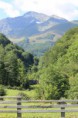 /album/galerie-de-photos-nature-deco/img-6402-jpg/