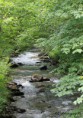 /album/galerie-de-photos-nature-deco/img-6409-jpg/