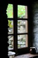 /album/galerie-de-photos-nature-deco/img-6423-jpg/