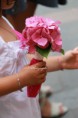 /album/mariage/img-5168-jpg/